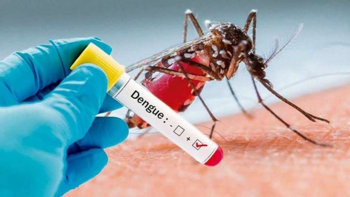 Continúan a la baja casos de dengue en un 85% en la entidad