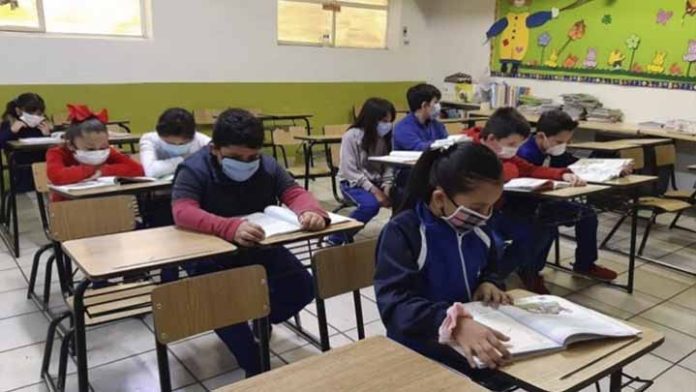 Conoce los canales para el regreso a clases del ciclo escolar 2020-2021