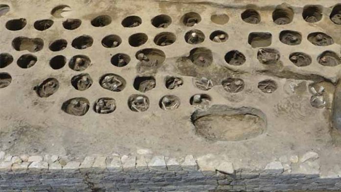 Descubren fosa con restos de personas que habrían muerto en epidemia