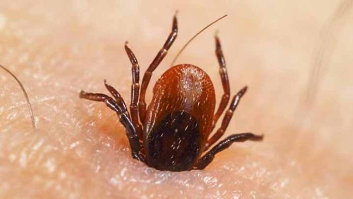 Alertan en China por nuevo virus, que ya ha dejado 7 muertos