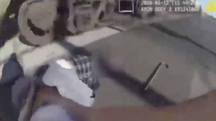 Mujer policía rescata del tren a hombre en silla de ruedas