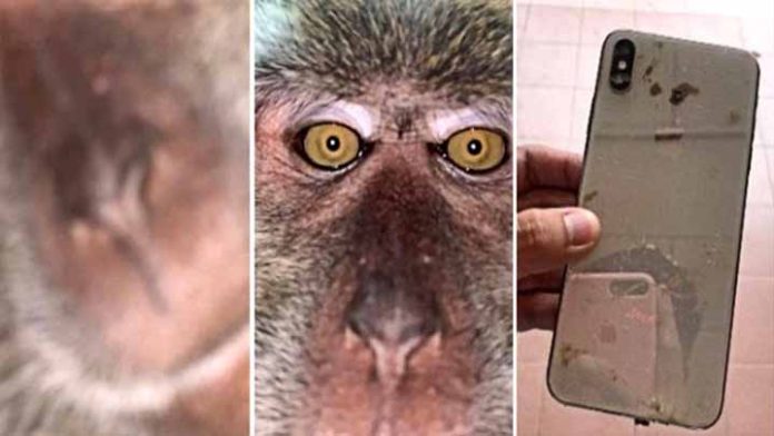 Le roban su celular y cuando lo recupera encuentra las fotos del ladrón Le roban su celular y cuando lo recupera encuentra las fotos del ladrón
