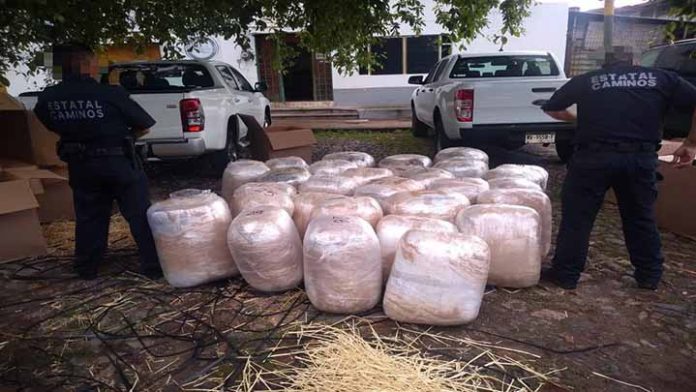 En el mes de agosto, aseguró SSP más de 430 kilogramos de diferentes drogas