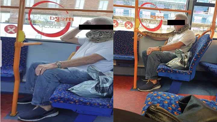 Captan a hombre usando una Pitón como cubrebocas Captan a hombre usando una Pitón como cubrebocas