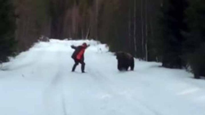 Una mujer rusa de 84 años de edad se salvo de un inminente ataque de un oso al hacerle frente y gruñir fuertemente para ahuyentar al animal