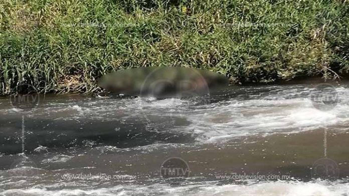 Hallan una persona ahogada en el Río Nuevo de Zamora