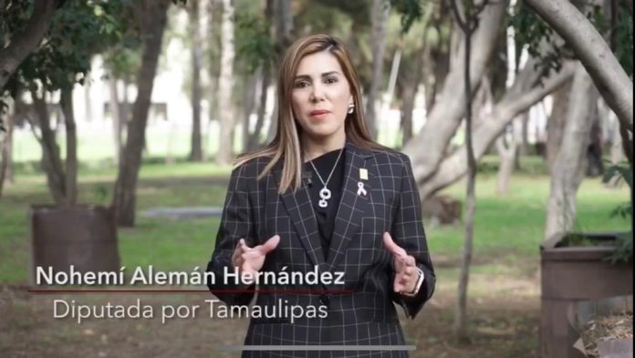 Diputadas federales de Morena se pronuncian contra Porfirio y la violencia machista