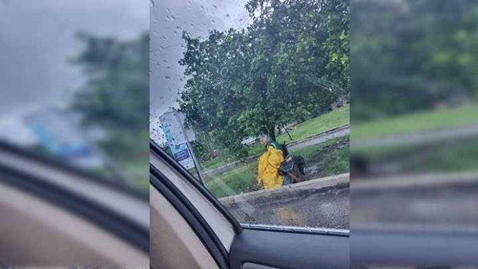 Abuelito en silla de ruedas vende periódico bajo la lluvia