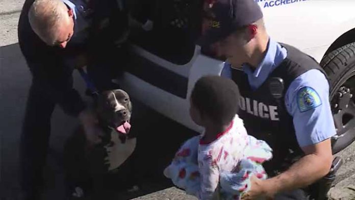 Un perrito cuidó de un niño perdido hasta que se reencontró con su familia