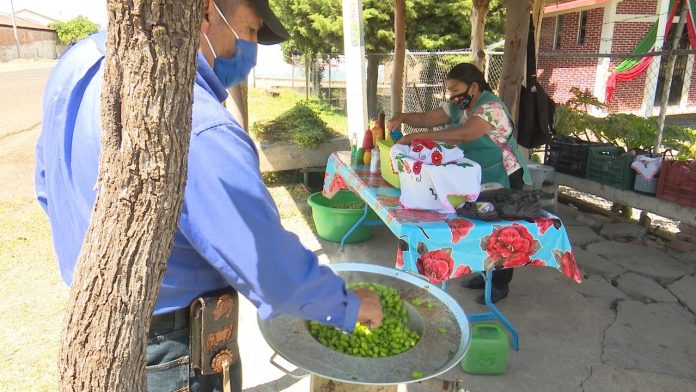 Pandemia provoca que caigan ventas de garbanzo al 50%