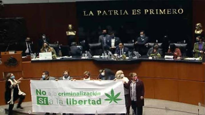 Diputados aprueban la despenalización del uso lúdico de la marihuana