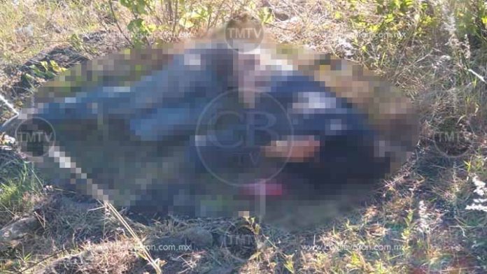 Hallan cuerpo putrefacto en la Gertrudis Sánchez
