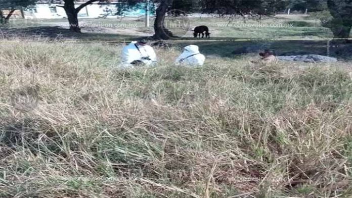 Esposado y baleado abandonan a joven de 20 años en Morelia