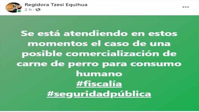 Investigan expendio de carne de perro en Uruapan