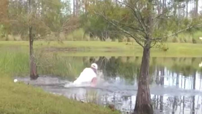 Hombre lucha con un caimán para salvar a su perrito de ser devorado