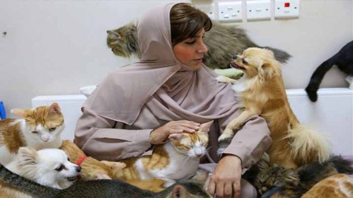 En esta casa si viven como perros y gatos, mujer tiene más de 400 mininos y 12 canes