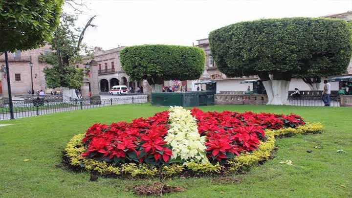 Morelia se vestirá muy navideña Morelia se vestirá muy navideña
