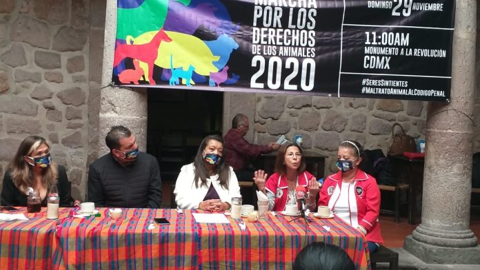“Ni una patita menos”; Diputada María Chávez a favor de los derechos de los animales