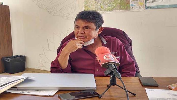 No hubo ecocidio con el derribo de árboles en la Salida a Mil Cumbres