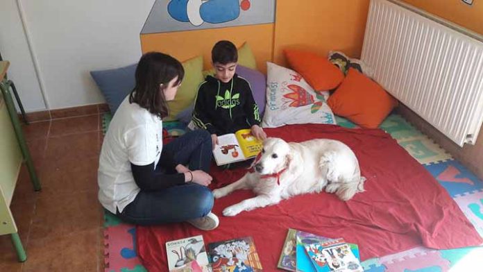 ¿Sabías que las mascotas pueden ayudar a leer?