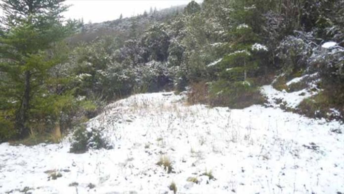 Se esperan posibles heladas en zonas montañosas de Michoacán