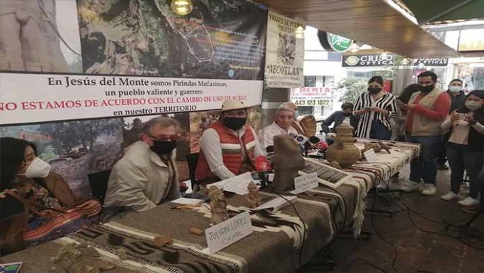Denuncian posible ecocidio en la zona protegida de Pico Azul en Morelia