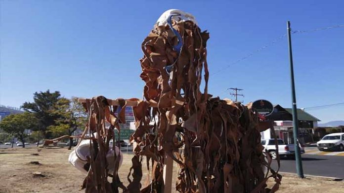 Crean escultura con la raíz de uno de los 59 árboles derribados