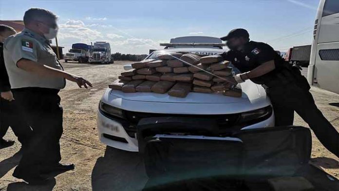 Aseguran 35 kilos de supuesta Marihuana en camión de pasajeros
