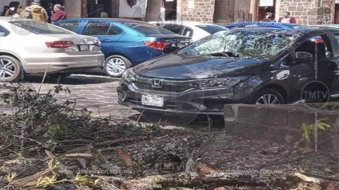 Rama de árbol cae en un auto en la Plaza Vasco de Quiroga de Pátzcuaro