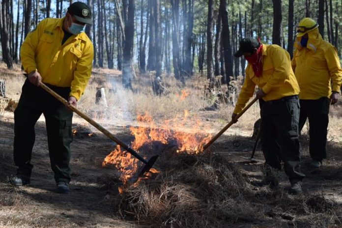 ¡Alerta! Aún no comienza la temporada y ya se registraron 31 incendios