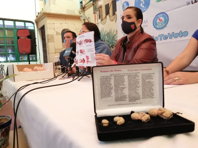 “Adopción desde la concepción no representa alquiler de vientres”: Colectivos Pro Vida
