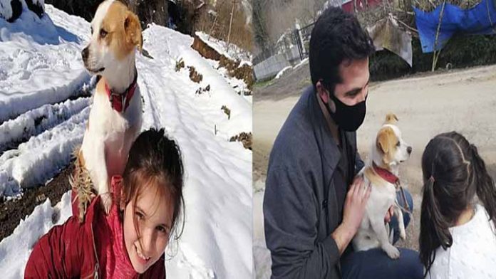Niña caminó más de 2 km sobre la nieve para llevar a su perrito al veterinario