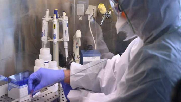 UMSNH avanza en la creación de vacuna mexicana contra Covid-19