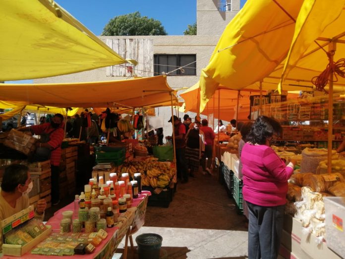 ¡Atención! Podría darse apertura gradual de actividades el próximo domingo