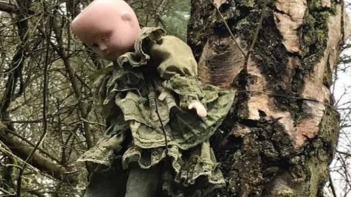De pesadillas, muñecas clavadas en árboles en un bosque en Inglaterra