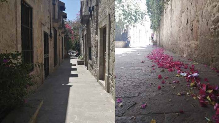 Callejón del romance en el olvido; vecinos denuncian descuido en la zona