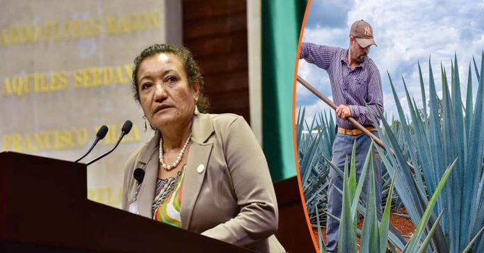 María Chávez Pérez impulsa cooperativas productivas para reactivar la economía local