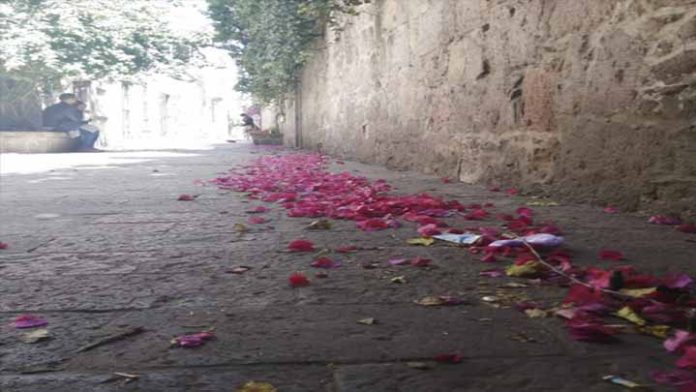 Callejón del Romance: una zona usada como hotel, para consumir drogas, y asaltos
