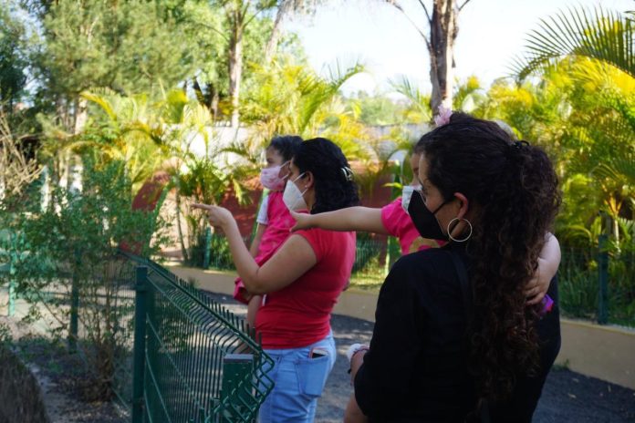 En periodo vacacional y a pesar de una tercera oleada de Covid-19, zoológico abrirá todos los días