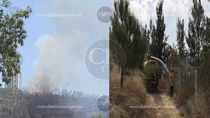 Reportan incendio de pastizal en las inmediaciones de Altozano