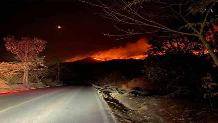 Sedena se suma al combate de incendio forestal en Los Reyes