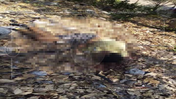 Abandonan un ejecutado en Guacamayas