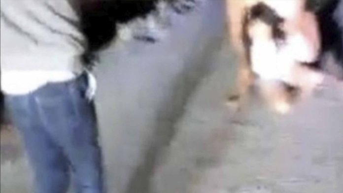 Rescatan a una menor que su abuela intentaba arrojar a un canal