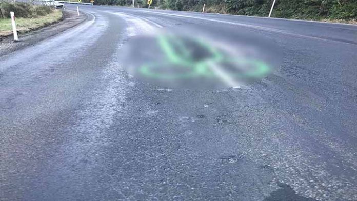 Activista dibuja genitales masculinos para señalar los baches