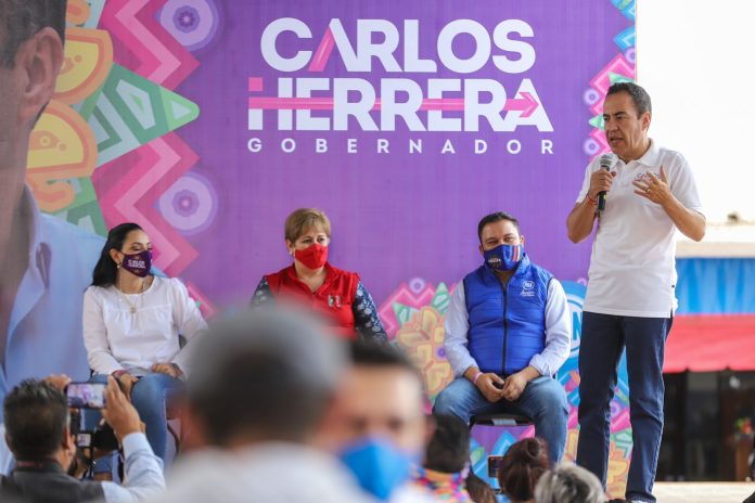 Casi mil comités de Morena se han sumado a la campaña de Carlos Herrera Tello