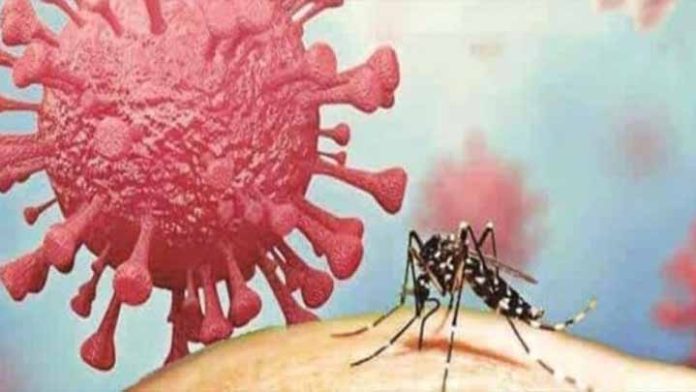 ¡Alerta! Podrían presentarse casos de Covidengue en Morelia