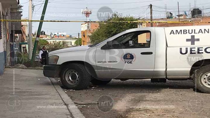 Abejas matan a un anciano a piquetazos en Zacapu
