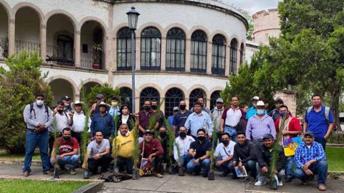 Pueblos indigenas podrán restaurar sus terrenos comunales en Michoacán