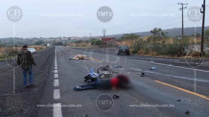 Se les atraviesa una vaca y mueren dos motociclistas en Zamora