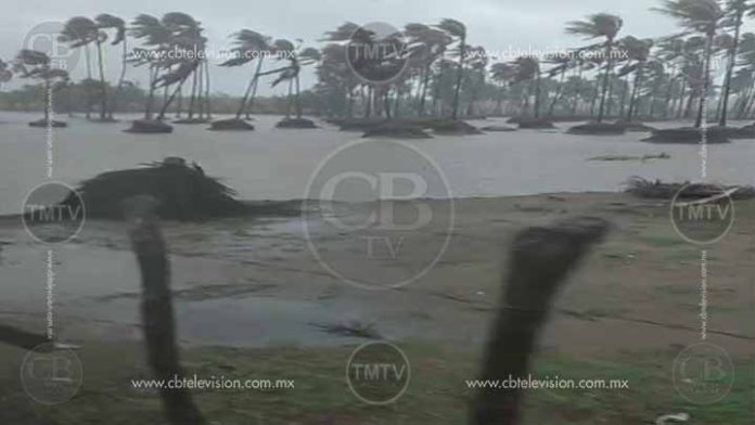 Caen árboles en Lázaro Cárdenas, tras tormenta tropical